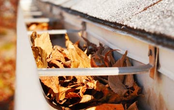 Strelley gutter cleaning companies