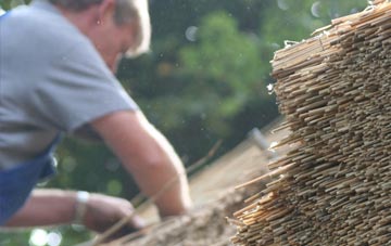 professional Strelley thatchers