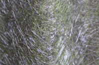 Strelley fibreglass roof work